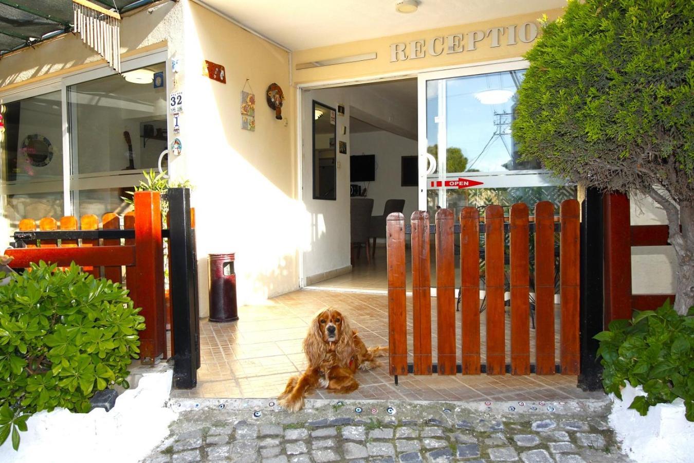 Bonapart Hotel Çeşme Extérieur photo